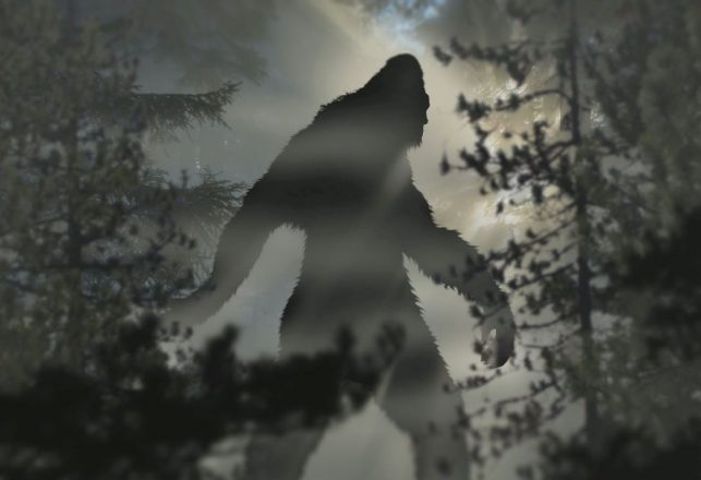 The Bizarre Case of the Bride of Bigfoot