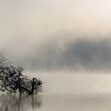 Lake Monsters: Paranormal Creatures and Not Flesh-and-Blood Animals