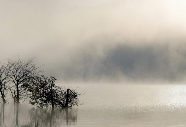 Lake Monsters: Paranormal Creatures and Not Flesh-and-Blood Animals