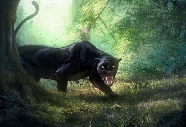 Alien Big Cats and Other Out of Place Beasts in Hawaii