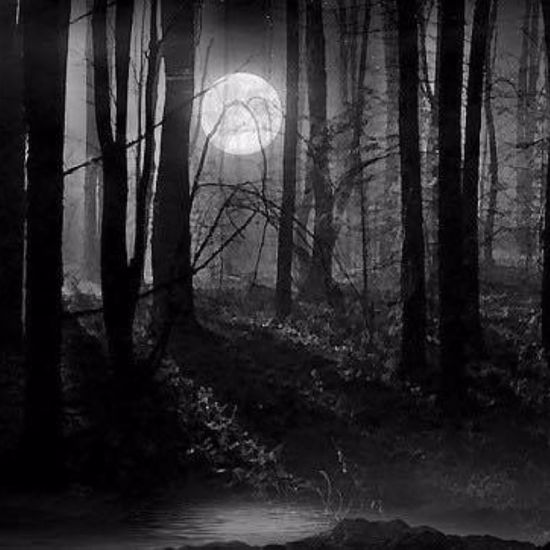 Hauntings and Dark Mysteries at the Mysterious Grovely Wood