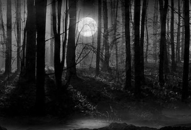 Hauntings and Dark Mysteries at the Mysterious Grovely Wood