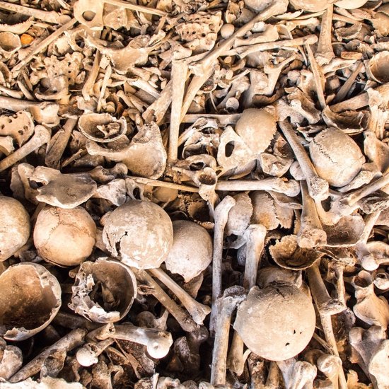 Excavations in Hull Reveal Almost 10,000 Human Skeletons