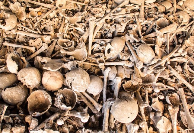 Excavations in Hull Reveal Almost 10,000 Human Skeletons