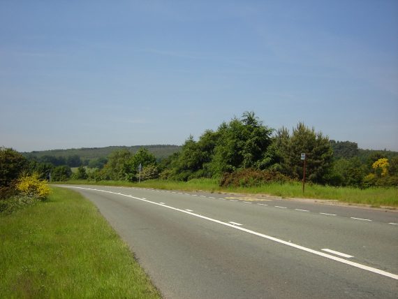 Cannock Chase Road 570x428
