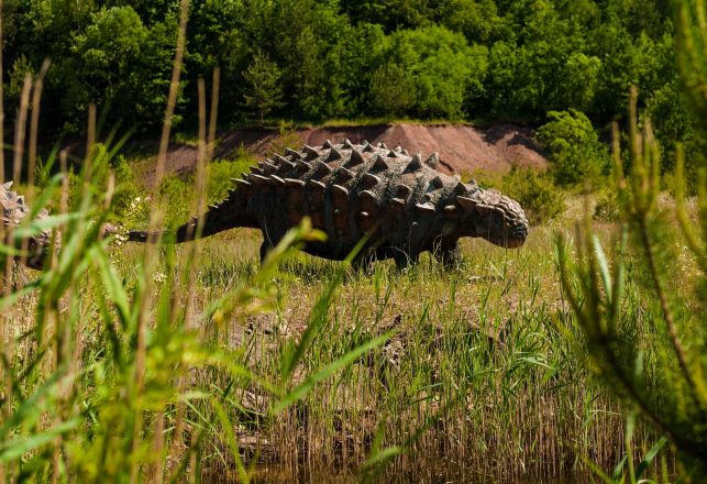 New Species of Spiked Armored Dinosaur is Unlike Anything Ever Found