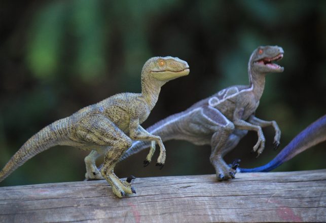 70-Million-Year-Old Bipedal Dinosaur is a New Species