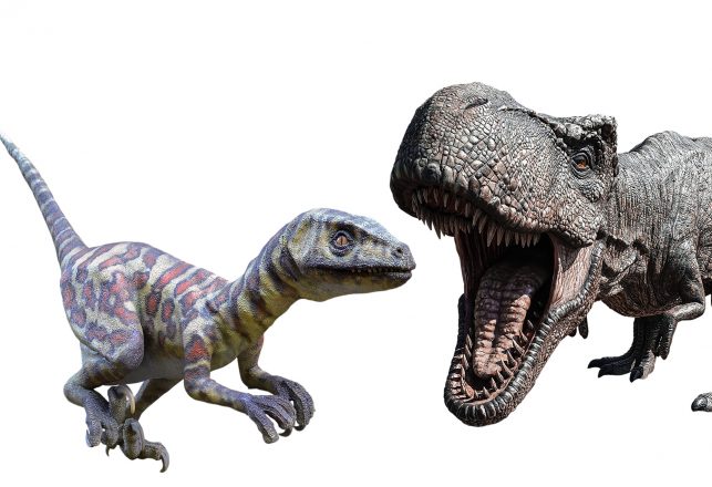 Facial Scars Reveal Tyrannosaurs Were Vicious Fighters
