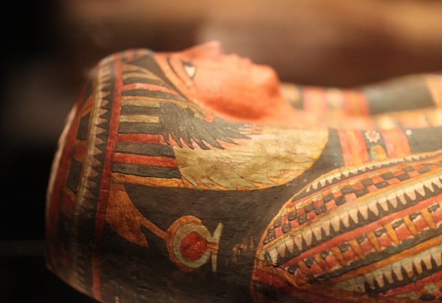 Three Male Egyptian Mummies Have Each Been Given a Face