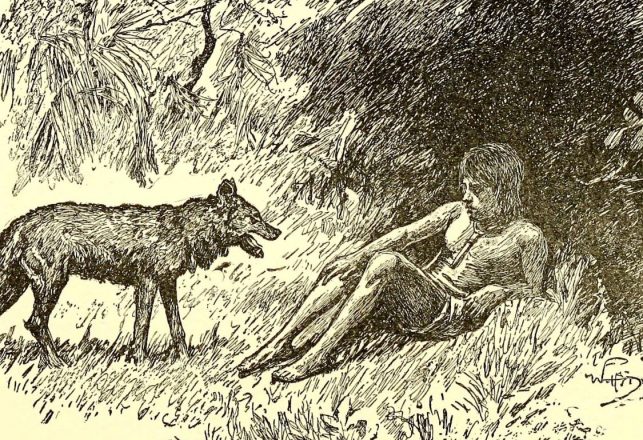 The Strange Story of Dina Sanichar, the Boy Raised by Wolves