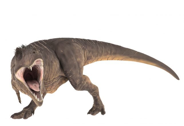 Scientists Claim Two-Legged Dinosaurs Probably Wagged Their Tails