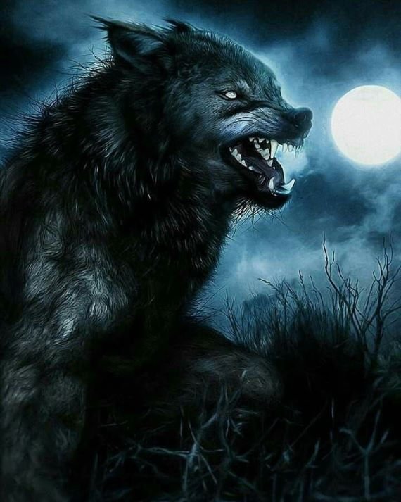 The Mysterious Warrior Werewolf Tribe of Ireland