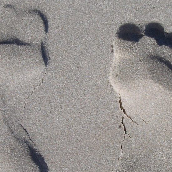 ‘Ghost’ Footprints May Prove Humans Lived in North America 23,000 Years Ago