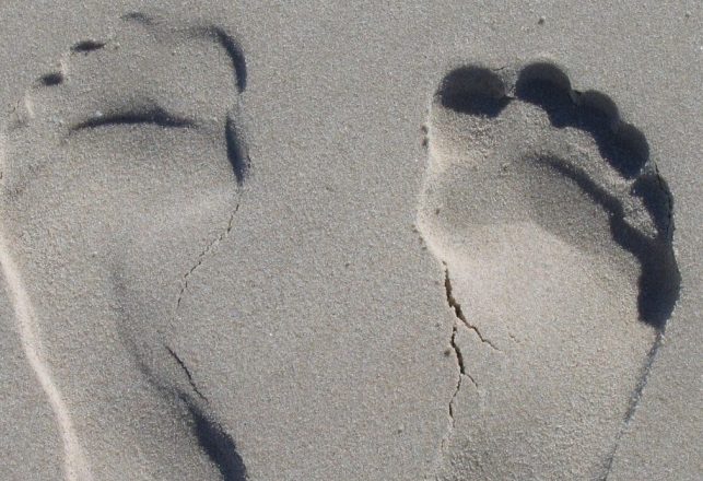 ‘Ghost’ Footprints May Prove Humans Lived in North America 23,000 Years Ago