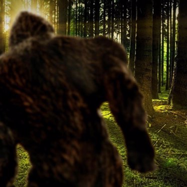 Bigfoot Language on Tape? The Strange Case of the Sierra Sounds Recordings