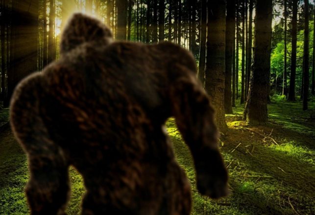 Bigfoot Language on Tape? The Strange Case of the Sierra Sounds Recordings