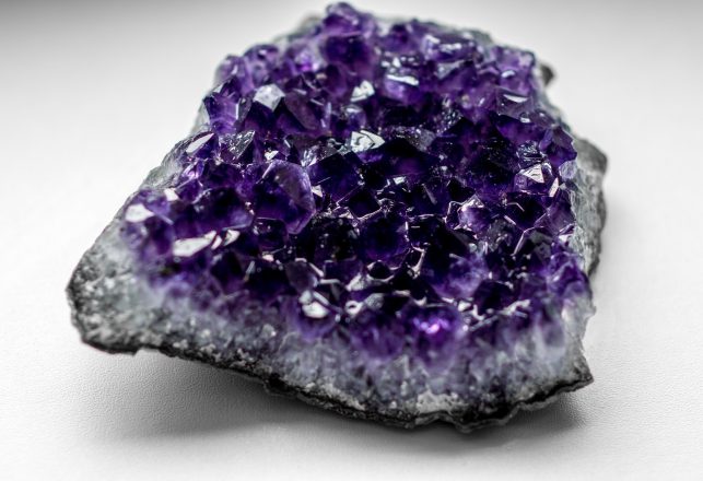 Ancient Amethyst Depicting Biblical Plant Found Near the City of David