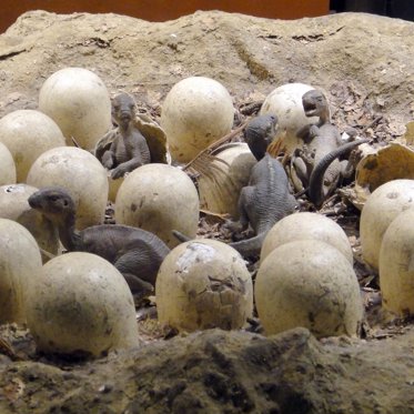 Over 100 Eggs With Embryos Reveal Earliest Known Dinosaur Herds