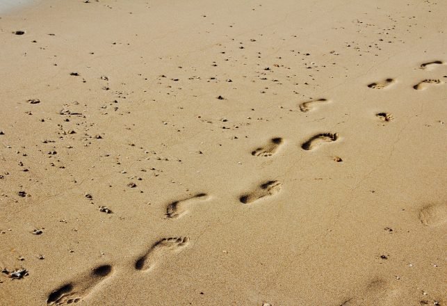 6.05-Million-Year-Old Tracks are the Oldest Footprints Made by a Pre-Human