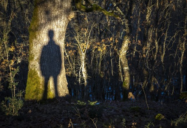 7-Foot-Tall Ghostly Figure Photographed at the Haunted Spofforth Castle