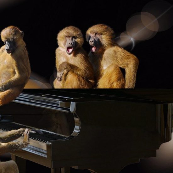 Singing Lemurs Create the Rhythm of Queen’s ‘We Will Rock You’
