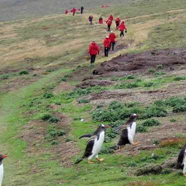 Evidence of Pre-European Human Activity Found on the Falkland Islands