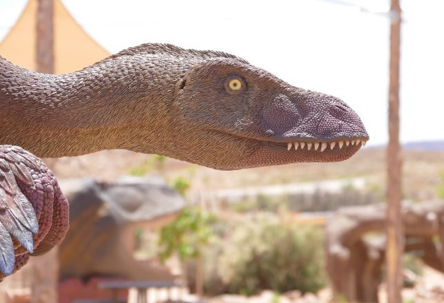 New Dinosaur Species with a Huge Nose Identified on the Isle of Wight