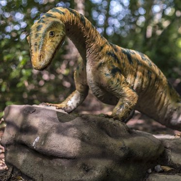 New Species of Duck-Billed Dinosaur Unearthed in Missouri