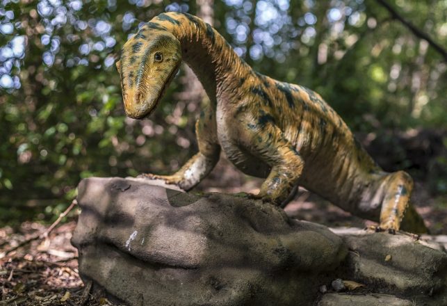New Species of Duck-Billed Dinosaur Unearthed in Missouri