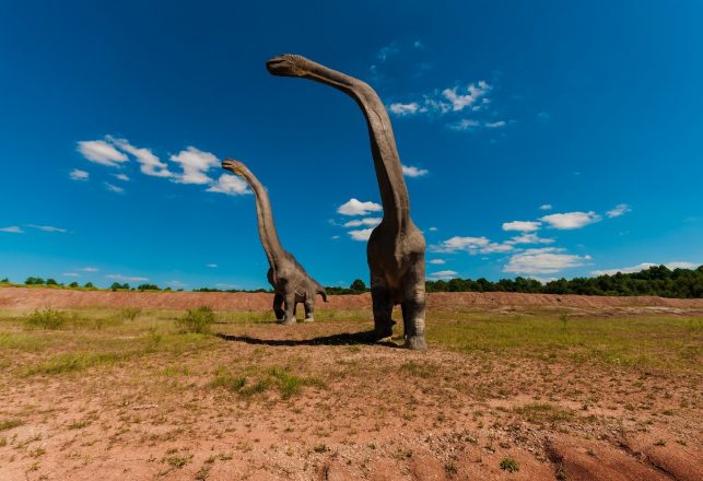 New Study Claims Supersaurus Was the Longest Dinosaur That Ever Lived