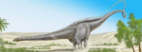 Diplodocus 1 570x212