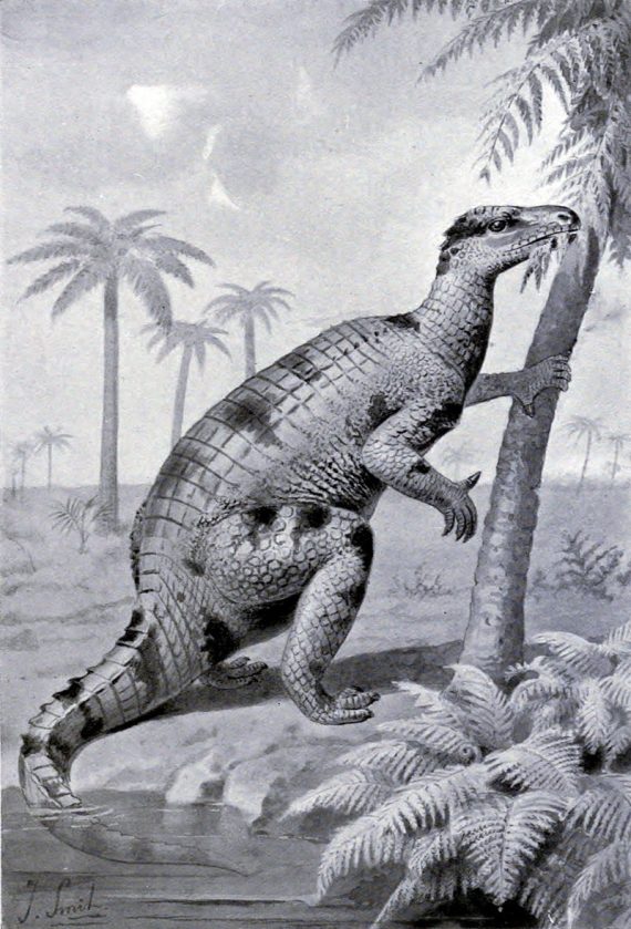 Iguanodon1 570x839