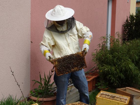 beekeeper 970219 1920 570x428