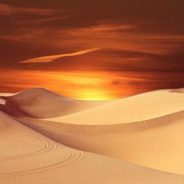 Humans Could Definitely Live on Dune’s Arrakis — But Would They Want To?