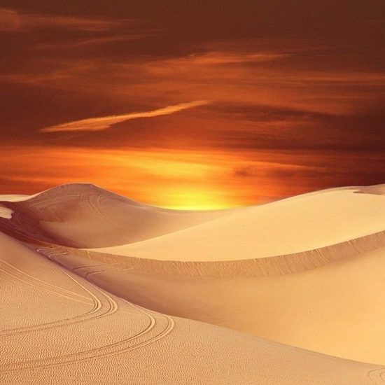 Humans Could Definitely Live on Dune’s Arrakis — But Would They Want To?