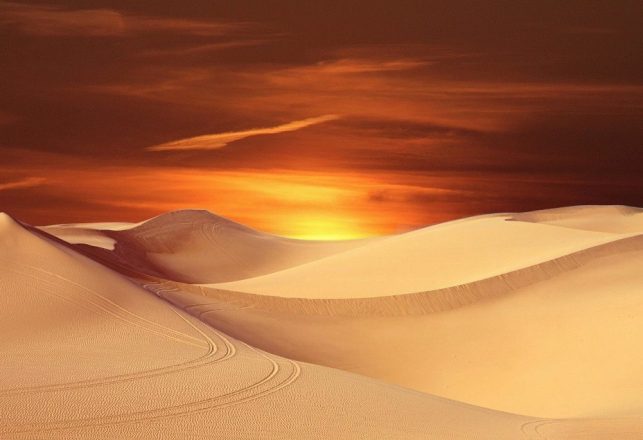 Humans Could Definitely Live on Dune’s Arrakis — But Would They Want To?