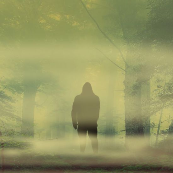 A Family’s Bizarre Encounters with the Bigfoot of Japan