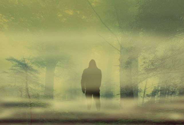 A Family’s Bizarre Encounters with the Bigfoot of Japan