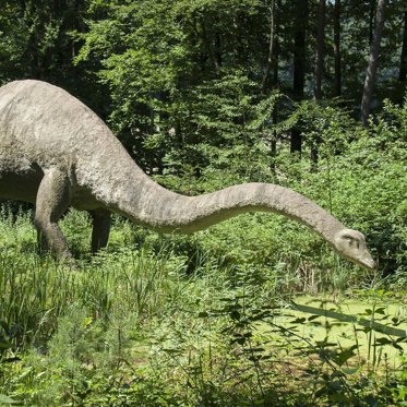 Sauropod Dinosaurs Couldn’t Handle Cold Weather