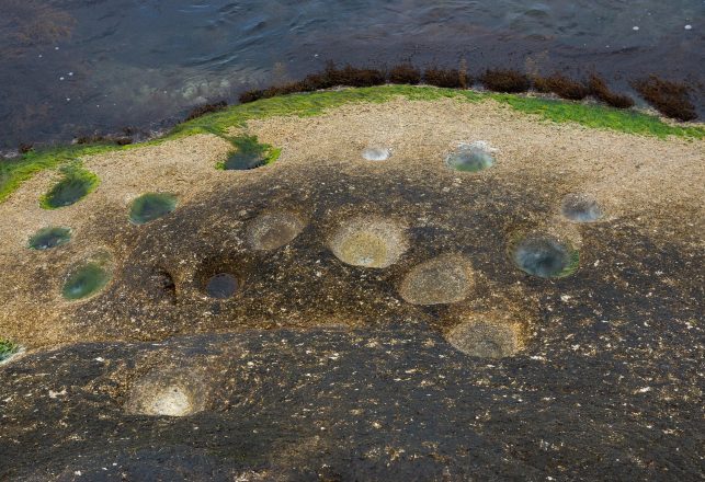 Hundreds of Dinosaur Footprints Discovered in Poland