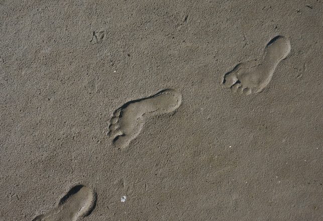 3.7-Million-Year-Old Footprints in Tanzania Were Made by an Unknown Human Ancestor