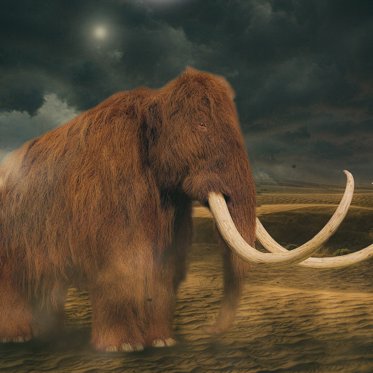 Mammoth Graveyard and Neanderthal Tools Found at a UK Site