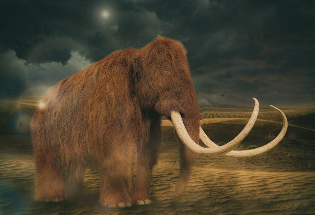 Mammoth Graveyard and Neanderthal Tools Found at a UK Site