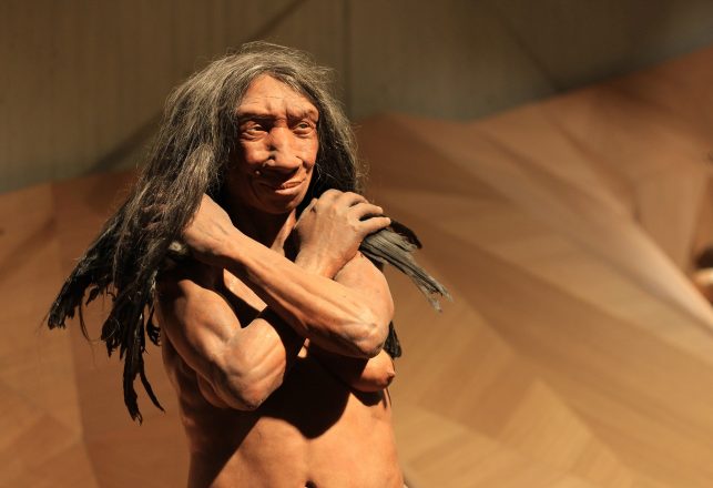 Neanderthals Were the First Species to Change the World