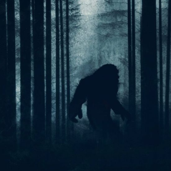 Georgia Skunk Ape Reportedly Captured on Video — Is It Real?