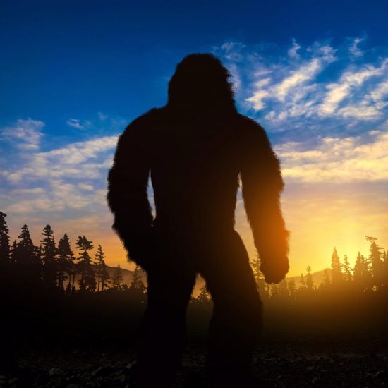 Millionaire Bigfoot, Moon Mistake, Ghost Village and More Mysterious News Briefly — February 15, 2022