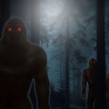 A Family’s Very Strange Close Encounters with Bigfoot