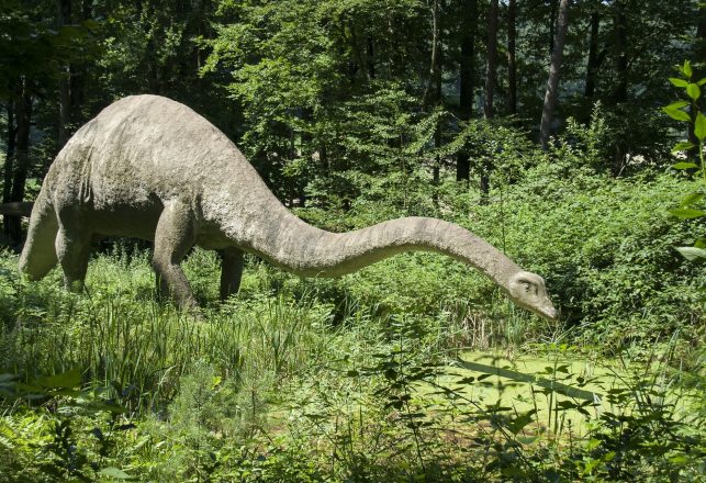 Chunky Dinosaur With an Exceptionally Long Neck Identified in China