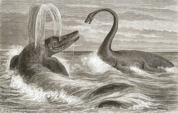 Ichthyosaur1 570x361