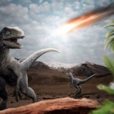 Bizarre Encounters with Raptor-Like Dino Cryptids